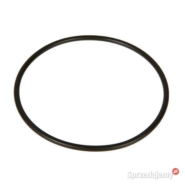 0002387810 Oring CLAAS