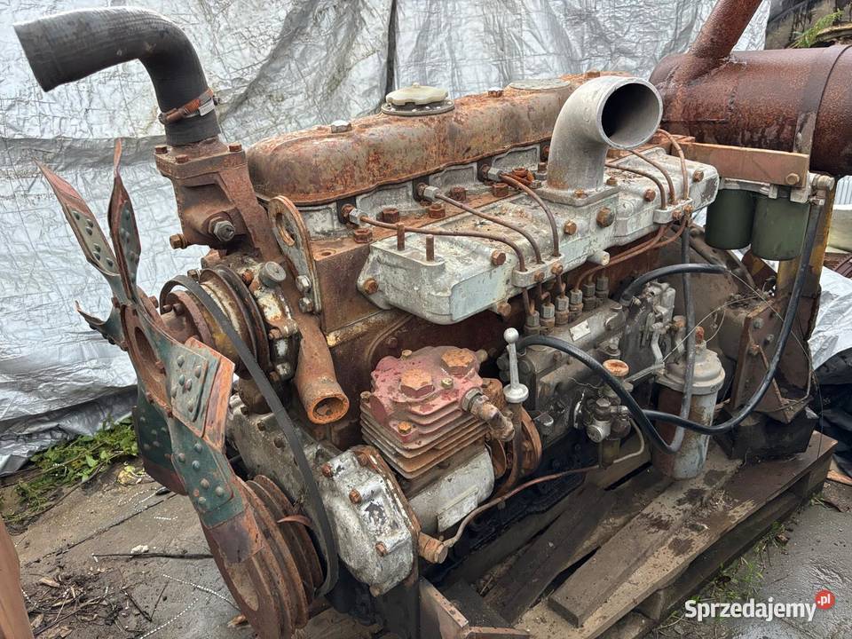 Silnik Leyland 6 cylindrowy Do kombajnów Sierakowice sprzedam