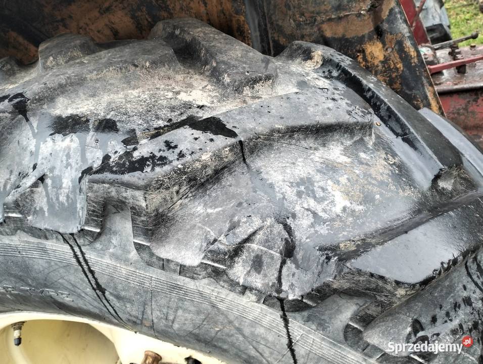 C360 ursus koła Żurawnica