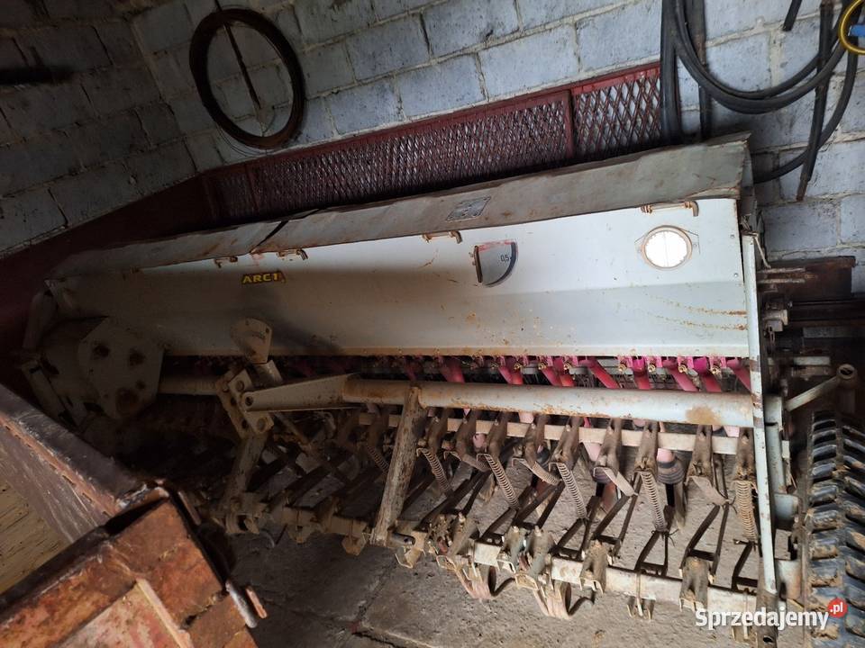 Poznaniak Siewniki Nowy Sącz