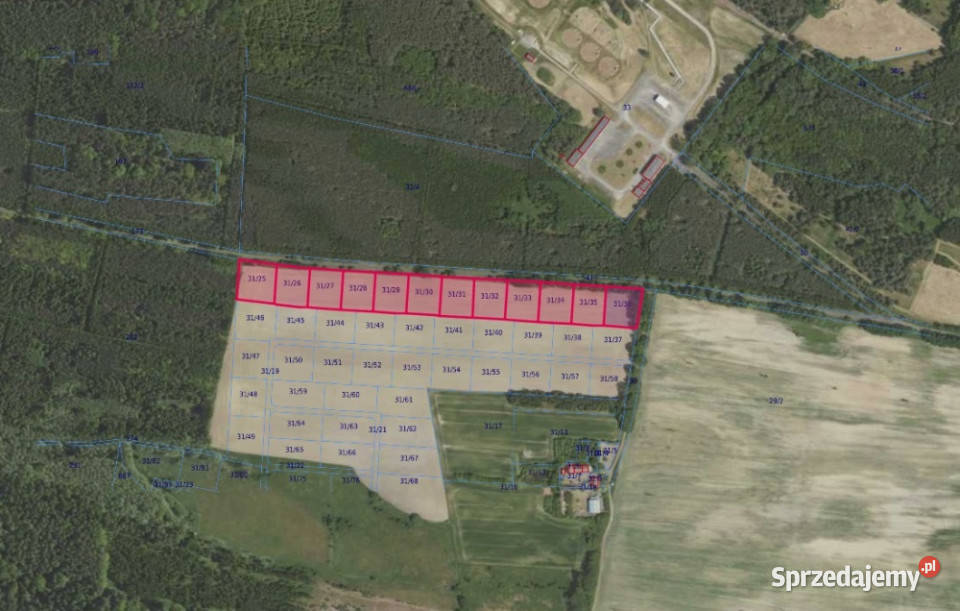 Działki 3125 w miejscowości Grabowno Wielkie dolnośląskie