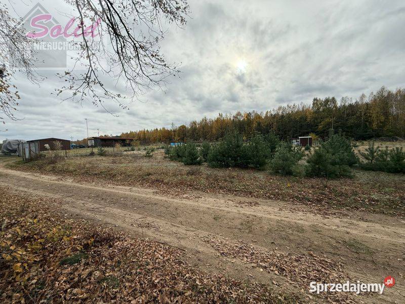 Urokliwa działka z możliwością zabudowy w woda mazowieckie Choinek