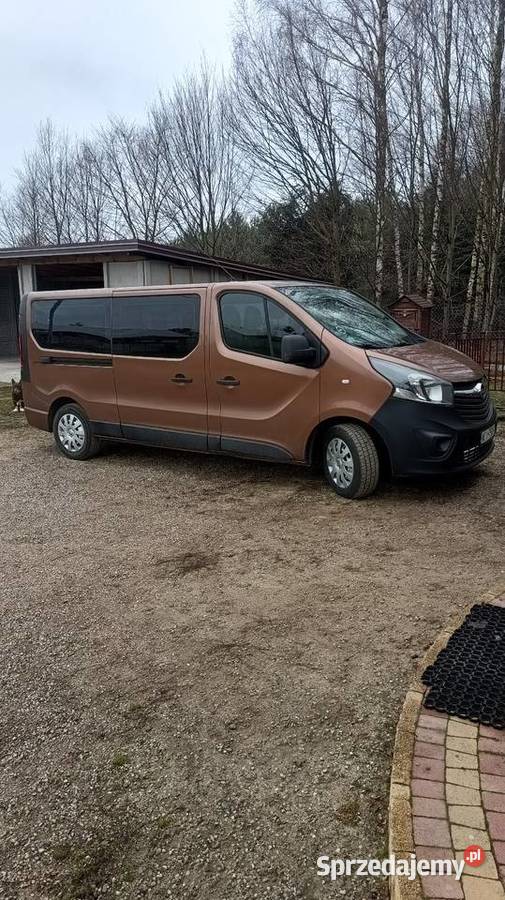 Opel Vivaro 9 osobowy Ojrzeń sprzedam