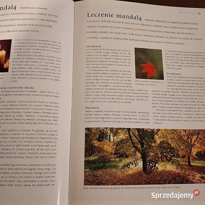 Wielka Encyklopedia Wiedzy tajemnej Bukowno