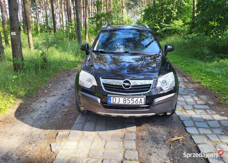 Piękna antara 4x4 256000km Antara dolnośląskie Miękinia
