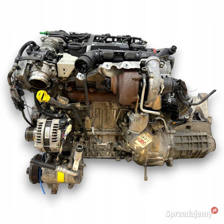 SILNIK KOMPLETNY G8DD Ford Focus II MK2 C C 16 Chełm