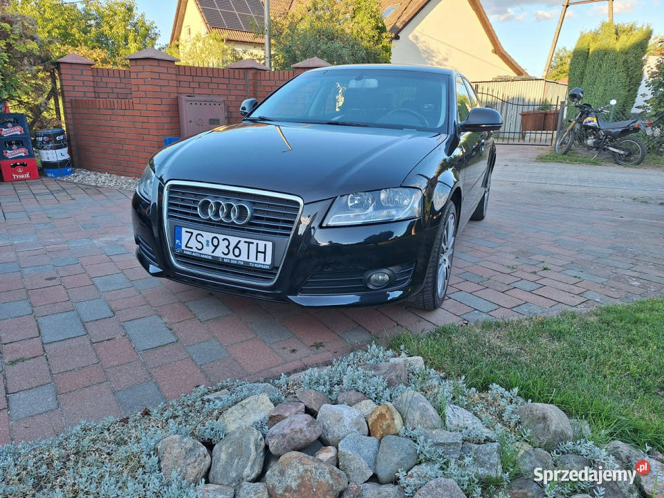 Audi A3 Sportback Klimatronik Serwisowany Stan Zarejestrowany w Polsce A3 zachodniopomorskie sprzedam