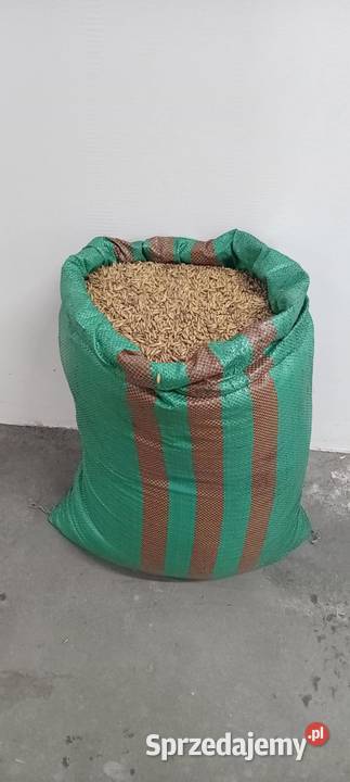 Sprzedam owies workowany wielkopolskie Pietrzyków