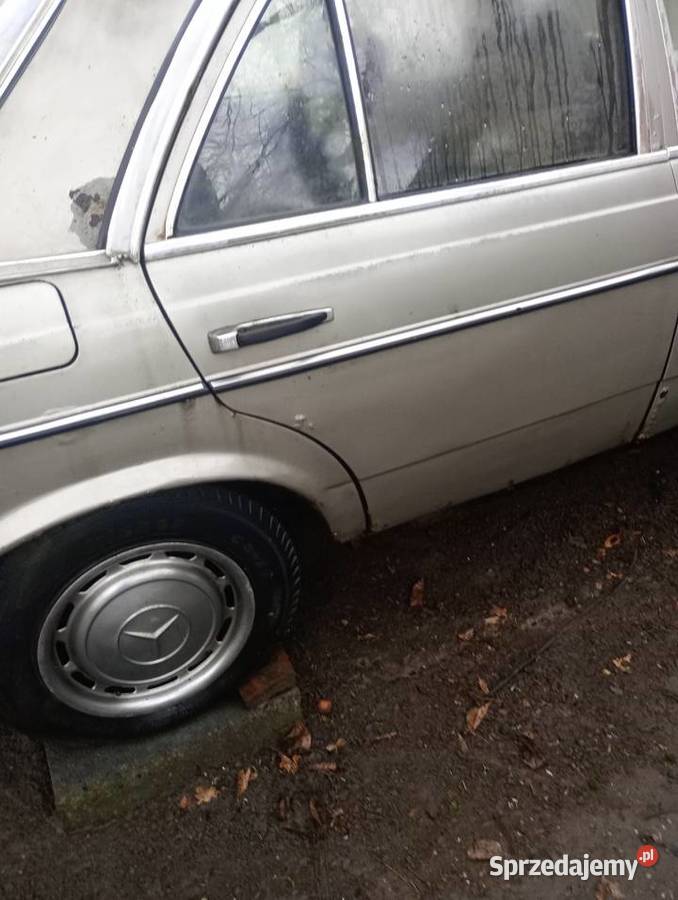 Mercedes W 123 Długołęka
