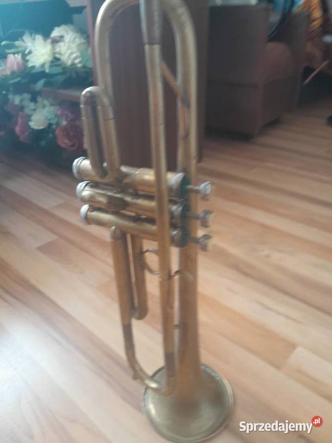 Trąbka Ostrowiec Świętokrzyski sprzedam