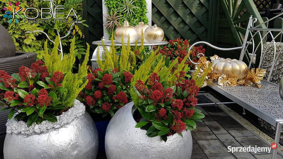 Ozdoby i dekoracje do ogrodu Jaworze