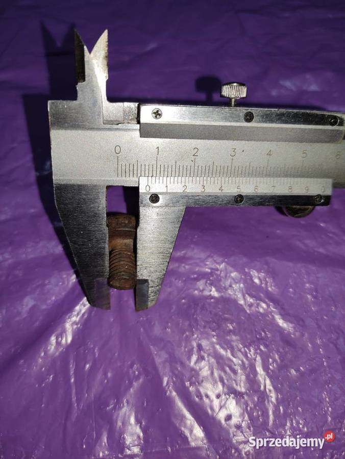 Korki bolec i motylek Przeworno