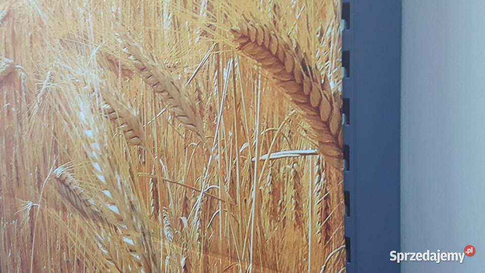 Sitodruk kłosy do regału piekarniczego Barczewo sprzedam