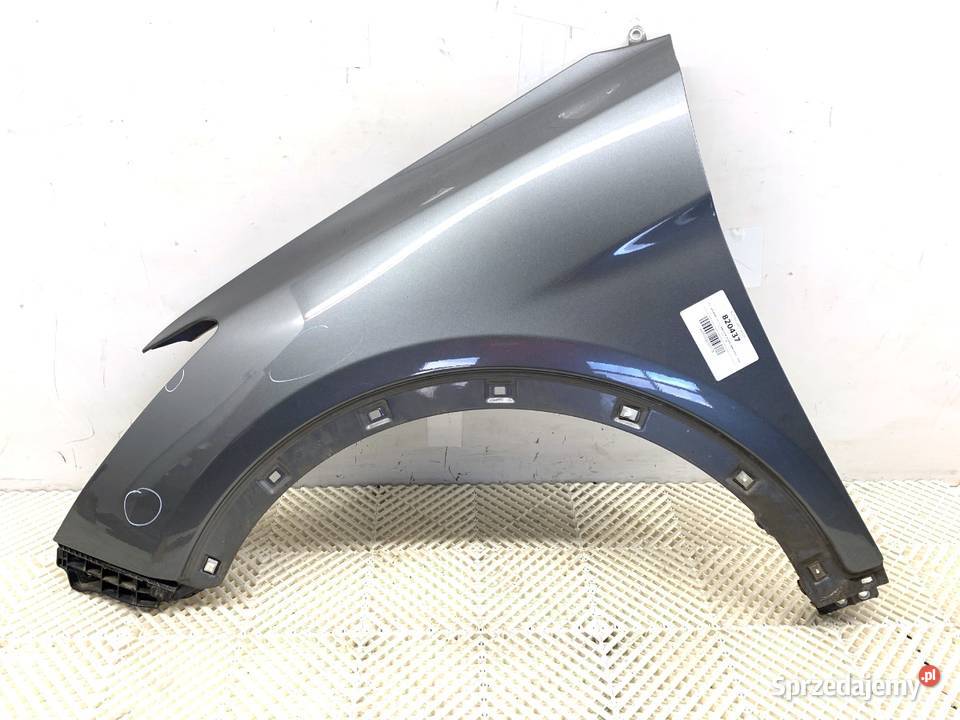 BŁOTNIK LEWY PRZÓD HYUNDAI SANTA FE III SUV sprzedam