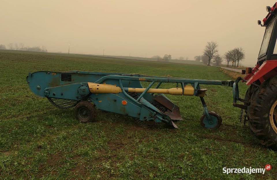 Sprzedam kopaczkę elewatorową Brodnica