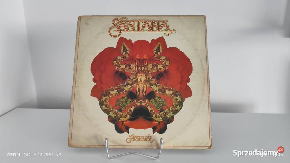 Płyty Winylowe Duża ilość Wiązów