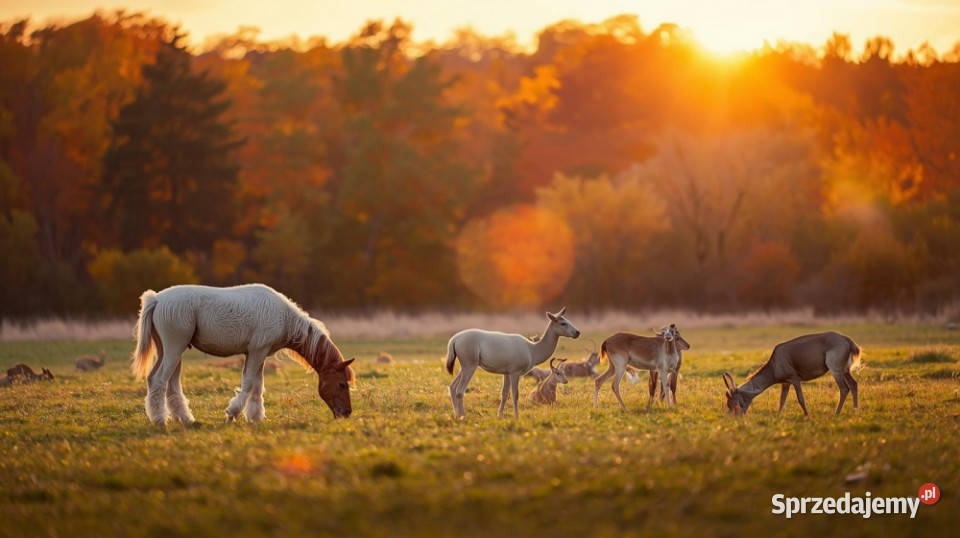 UROKLIWE MIEJSCE NATURY Rydzów