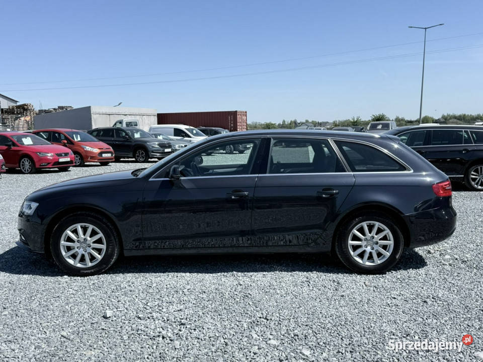 Audi A4 Avant 20 TDI 150 2015 skóry navi DVD B8 światła przeciwmgielne Wojkowice