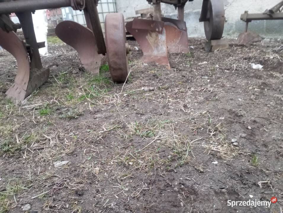 Pług dwuskibowy nieuszkodzony sprzedam