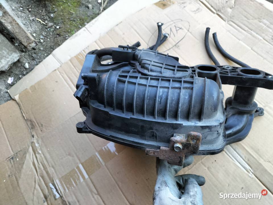 KIA CEED KOLEKTOR SSĄCY osobowe Kolektory ssące Kamień-Kolonia sprzedam