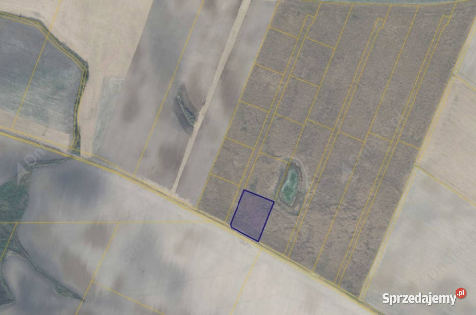 Działka 7163 w miejscowości Młodasko rolna wielkopolskie sprzedam