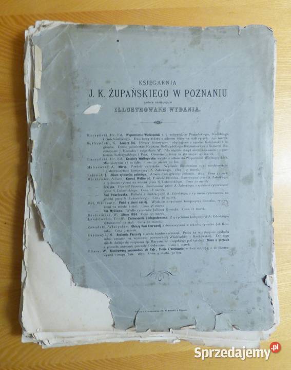 KR Inflanty Polskie Manteuffel wyd 1879 r rzadka