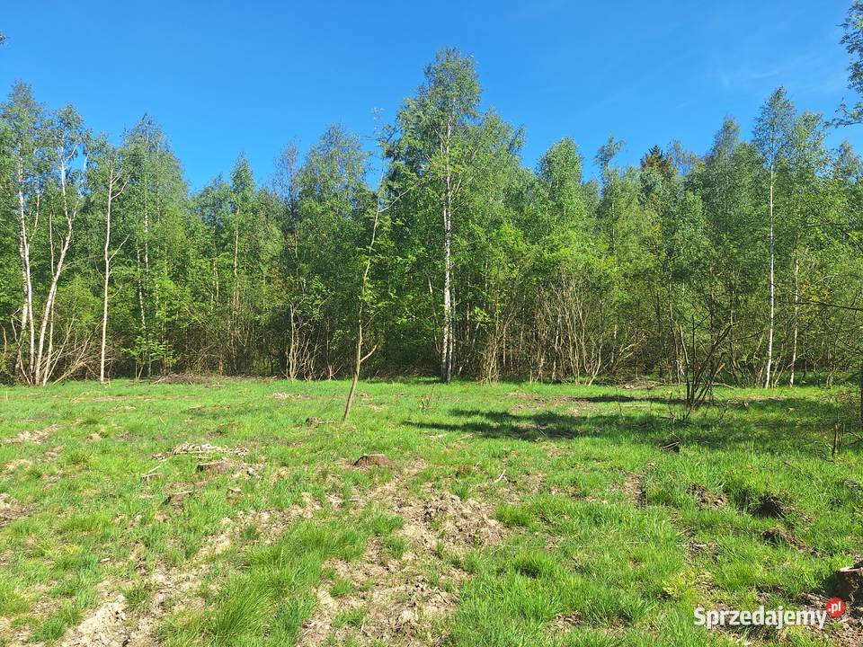 Działki w Małej Kamienicy Stara Kamienica