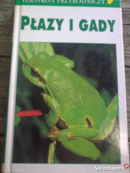 leksykon przyrodniczyplazy i gady