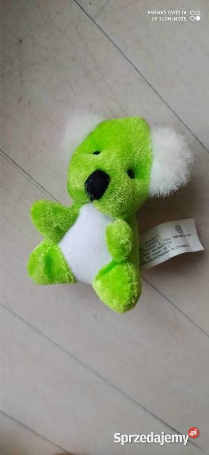 koala zabawka pluszowa pluszak maskotka Poznań