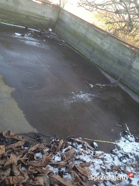 Sprzedam drewnianą przyczepę sztywną Bielawy sprzedam