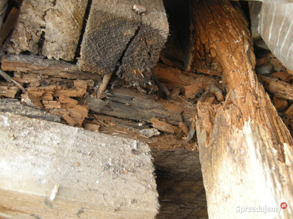 prace wysokościowe alpinista mycie malowanie Gorzów Wielkopolski