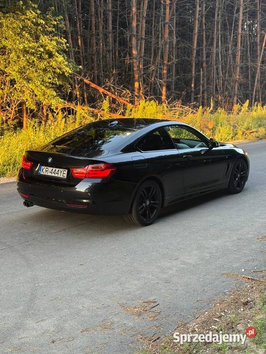 Salon Polska BMW Serii 4 F32 w wersji 428i z Tarnów