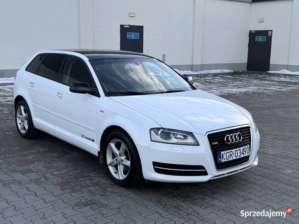 Audi A3 16 TDI 105 LED KAMERA Bezwypadkowy Gorlice