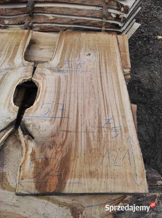 Monolit 124x5080x5 dąb stolik kawowy blat oak Przysucha