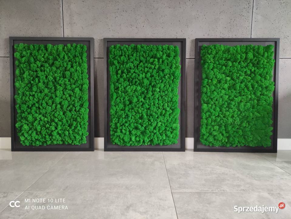 Obraz Mech Chrobotek 3 5070 Częstochowa sprzedam