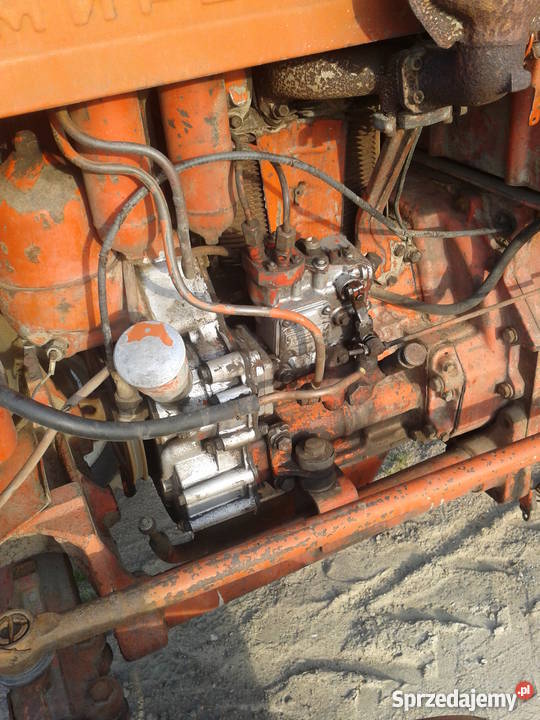 Wladymirec T25 i kultywator Gozdowo sprzedam