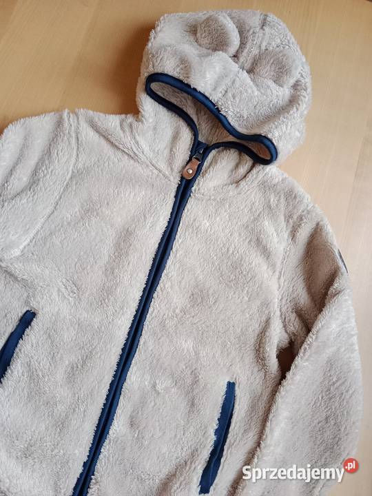 Polar HM miś Poznań sprzedam