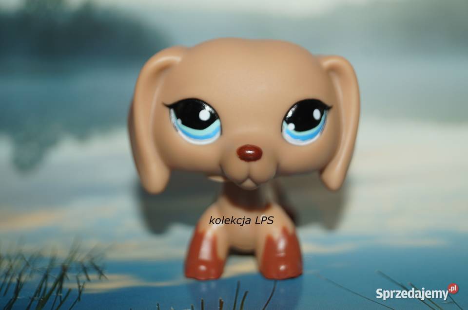 LPS Littlest Pet Shop jamnik 1211 oryginalny pop Hasbro śląskie Rybnik