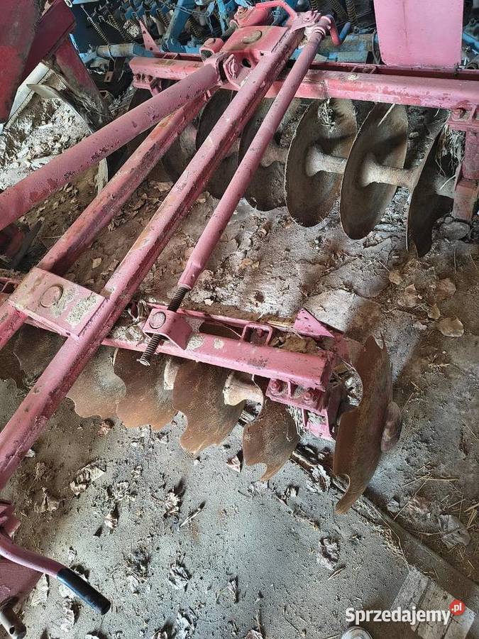 Talerzówka nieuszkodzony Kamocin