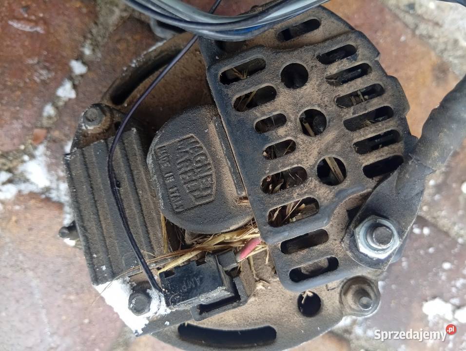 Alternator fiat Seicento 11 osobowe Adamów