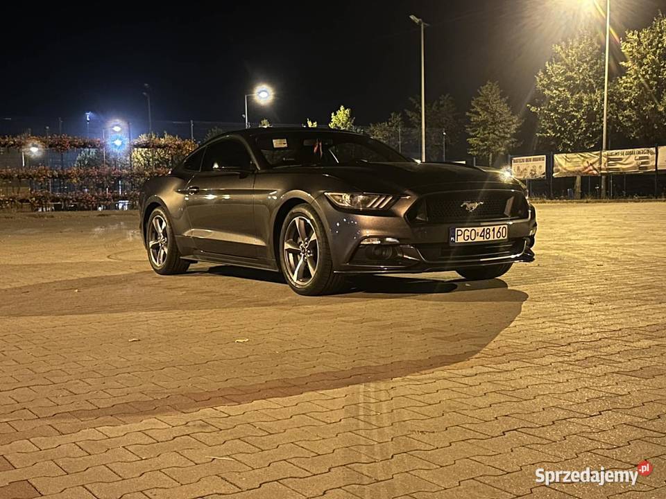 Ford mustang 37 305 sprzedam