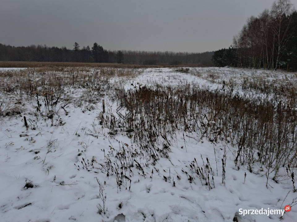 Działki budowlane Miłocice Małe sprzedam