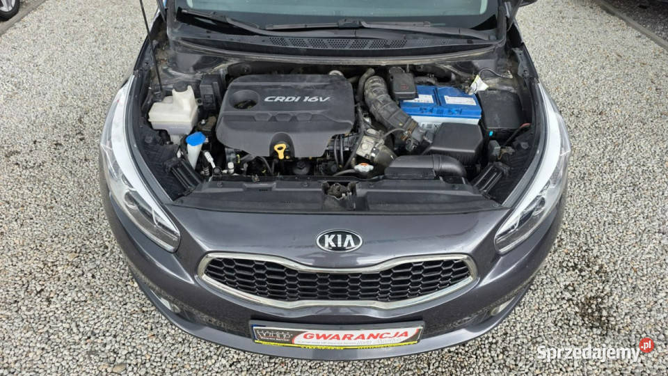 Kia Ceed Salon Polska Oszczędny GWARANCJAMożliwa elektryczne lusterka Świdnica