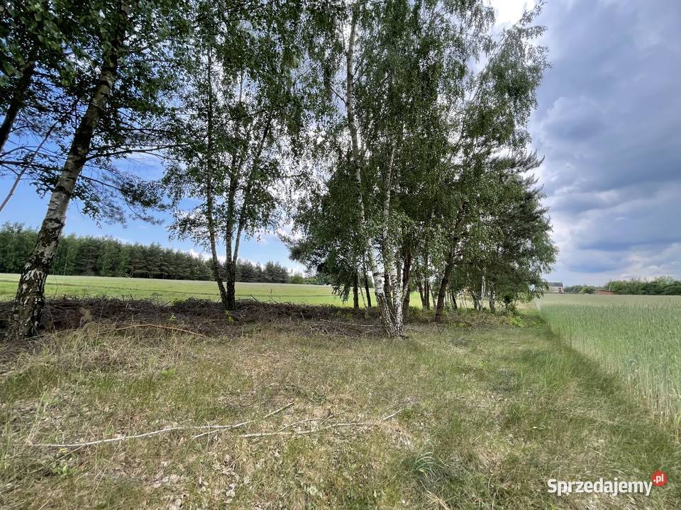 Działka z możliwością budowy domu 30 arów 20zł/m2 Osiny