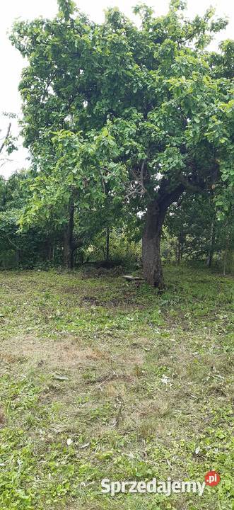 Działka mazowieckie Młodzieszyn