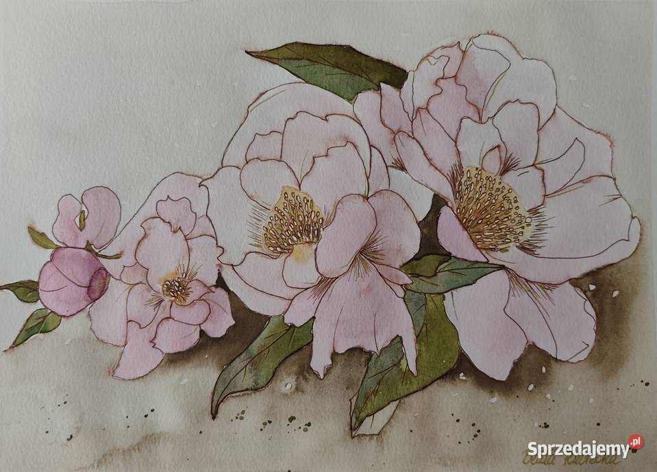 Akwarela Akwarelka Obraz pt Peonie Poznań