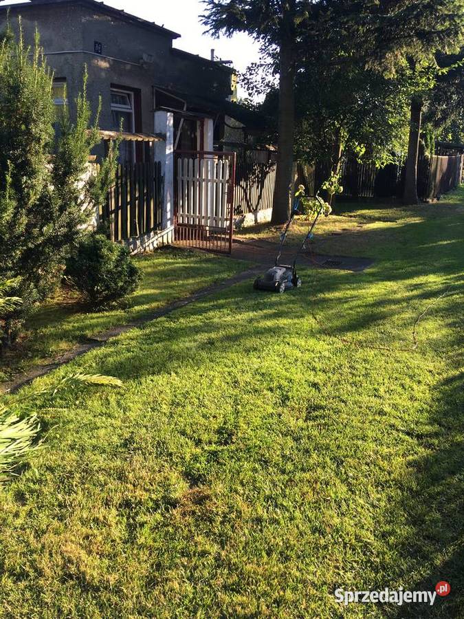 Działka rekreacyjna ROD witaminka Oświęcim 350m2 Sprzedaż Zaborze