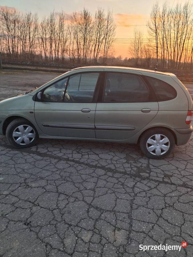 scenik 19dci USZKODZONY 110KM Bidziny
