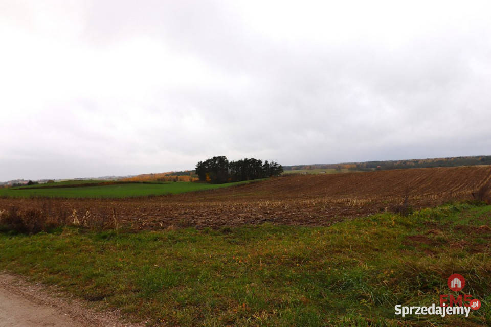 Działka 12000m2 Żegary