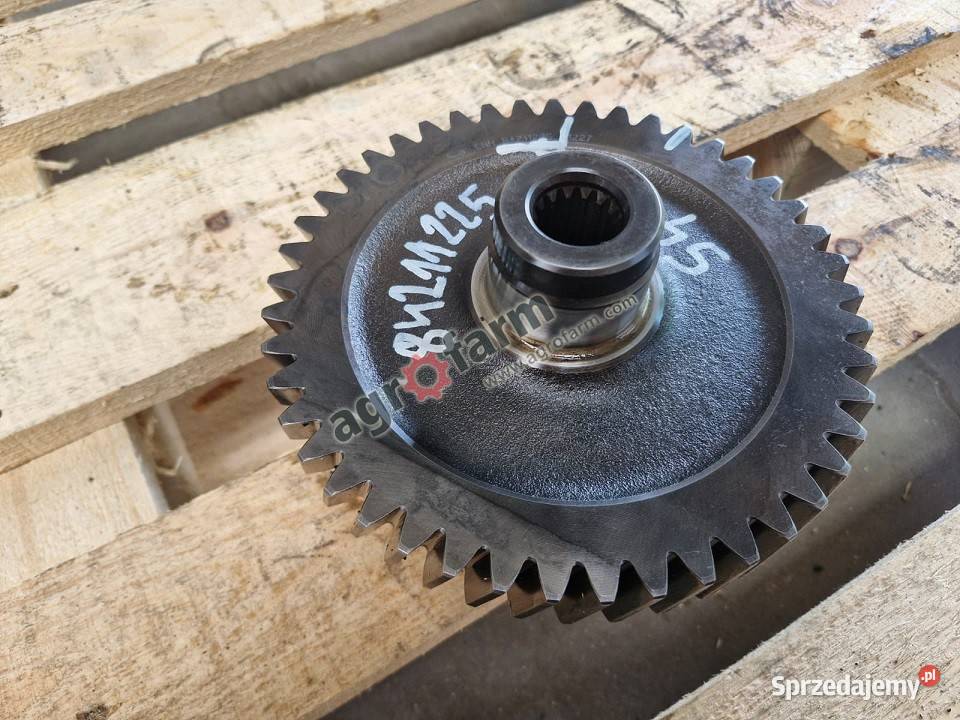 Koło zębate Case Magnum 235 250 260 280 Byków